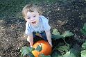 17-Seventeenth Month